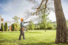 Lawn Renovation and Restoration in Robie Creek, ID